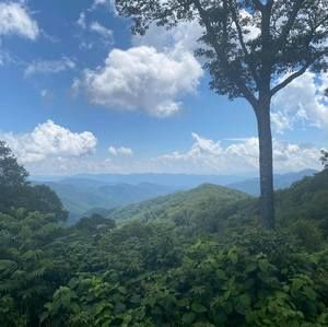 Meet your Posher, Krissy